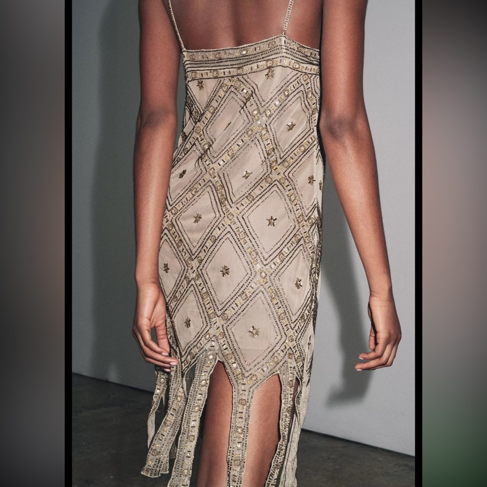 Zara limited edition EMBROIDERED TULLE Mini DRESS - Picture 11 of 15